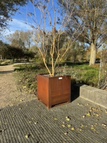 Tinder profile picture for @pieter