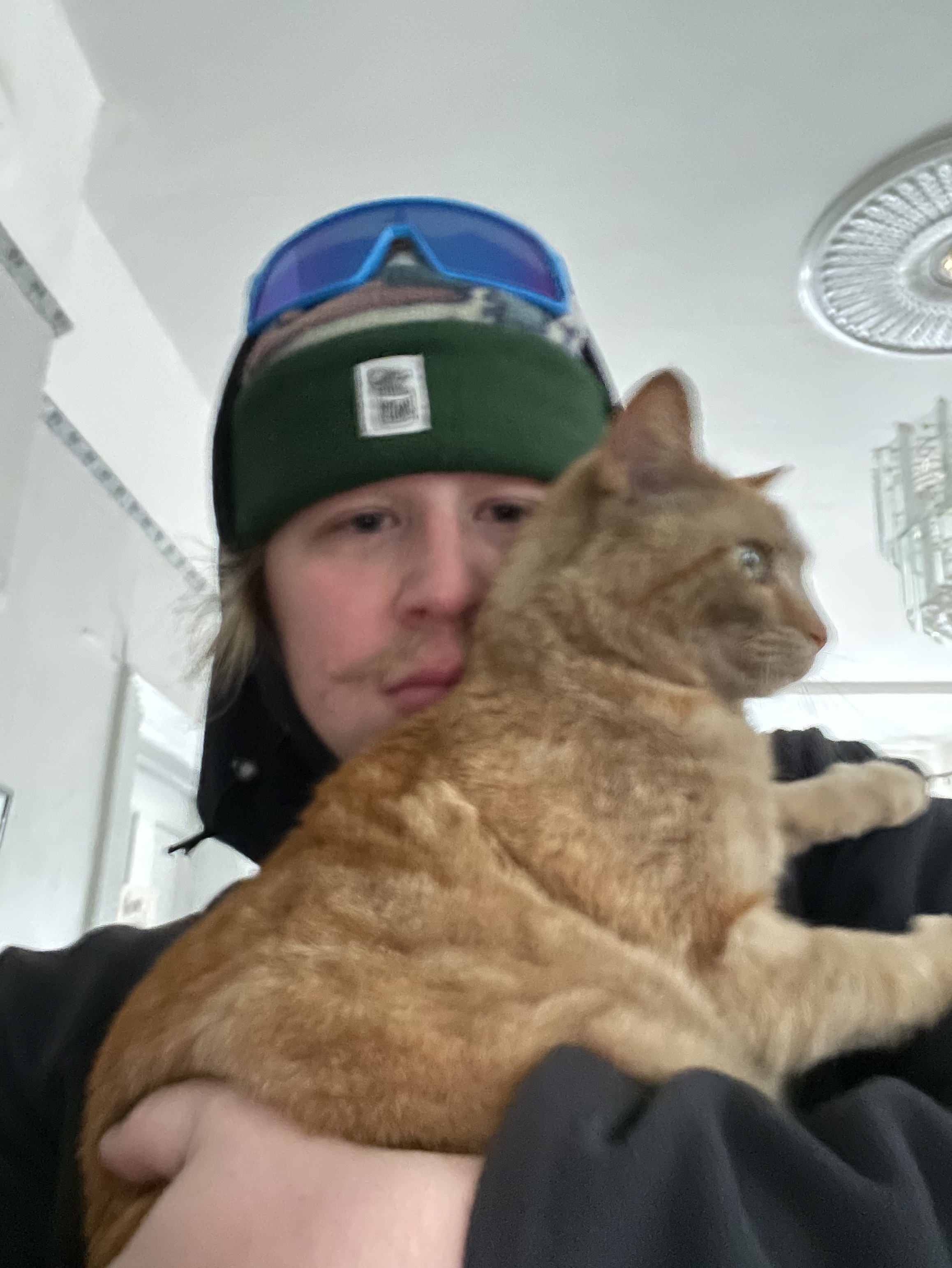 Tinder profile picture for @doses