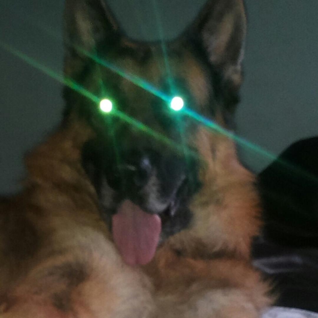 Tinder profile picture for @disputing