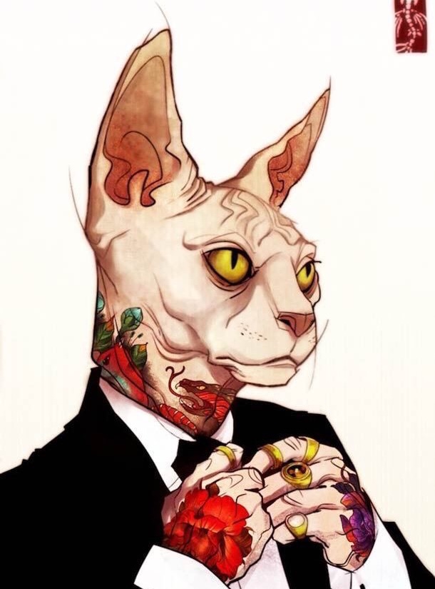 Tinder profile picture for @nub