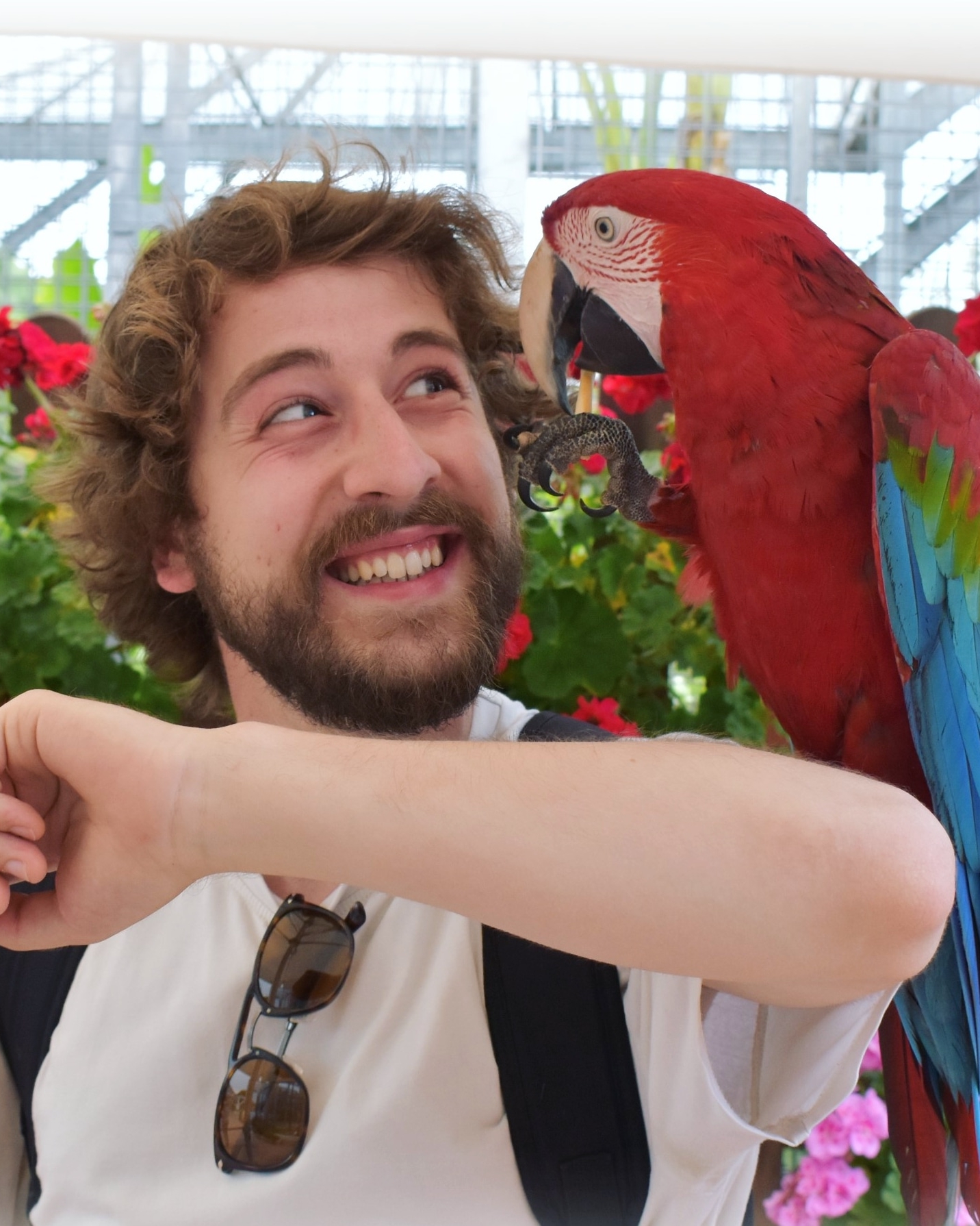 Tinder profile picture for @flippers