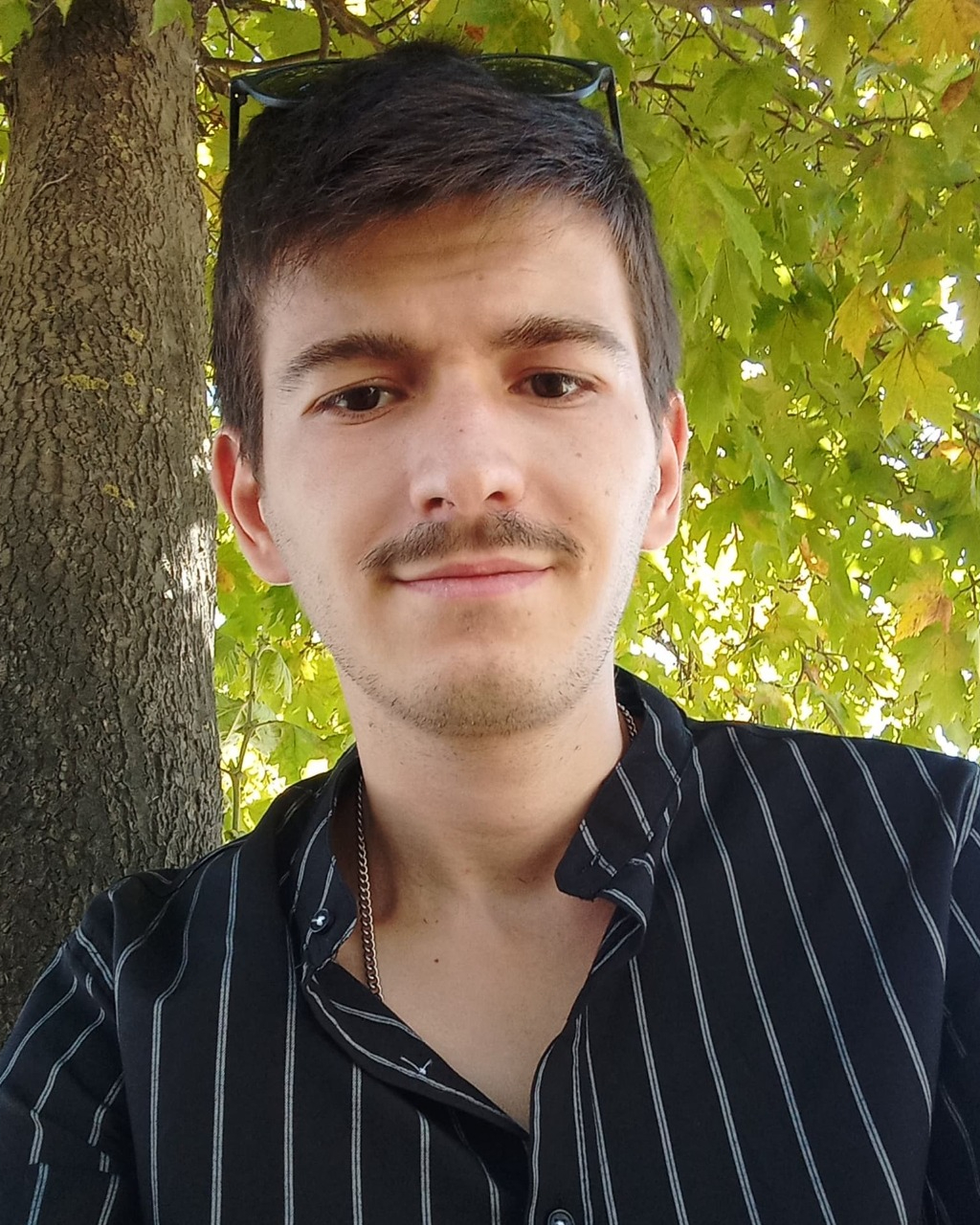 Tinder profile picture for @parliament