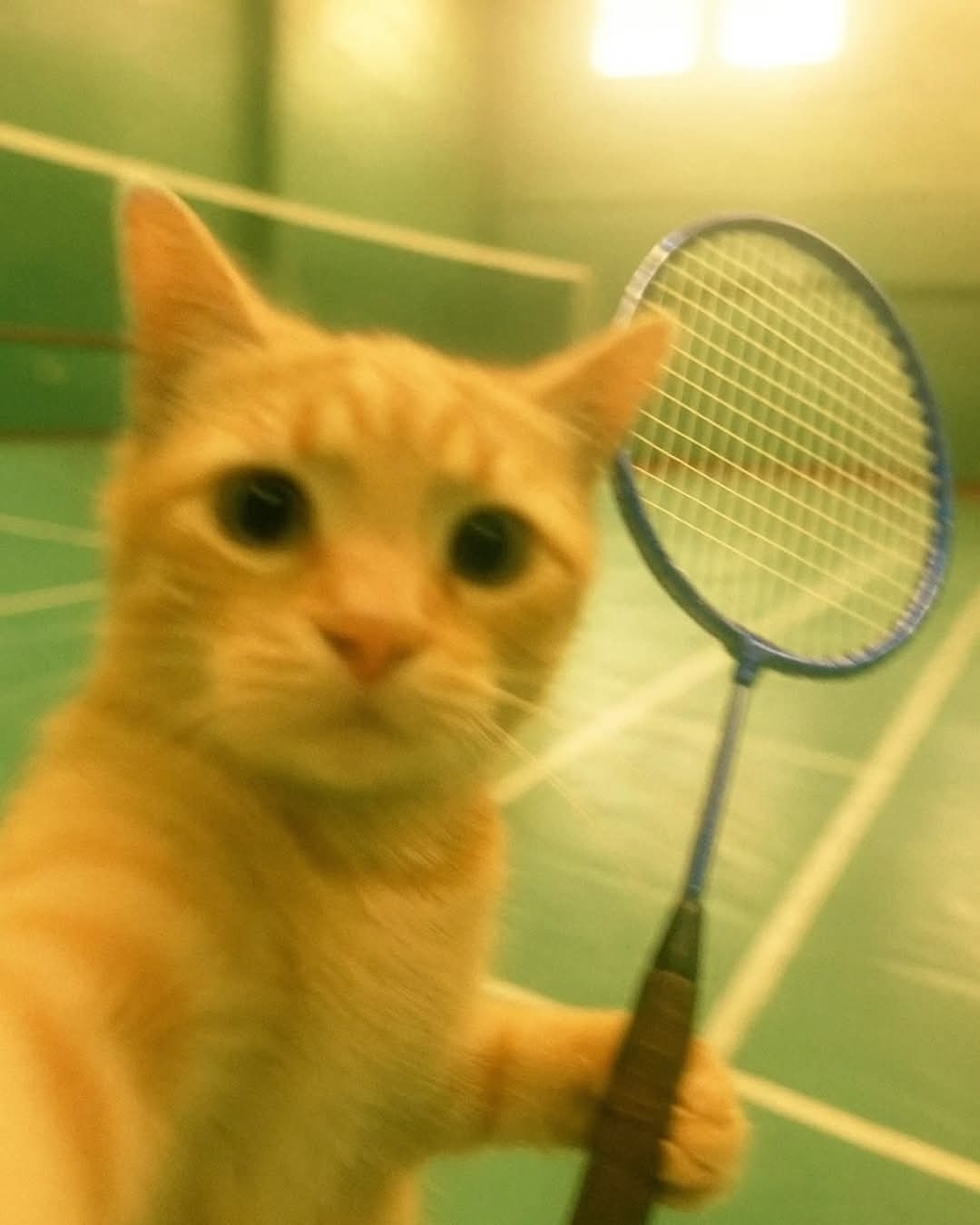 Tinder profile picture for @shi