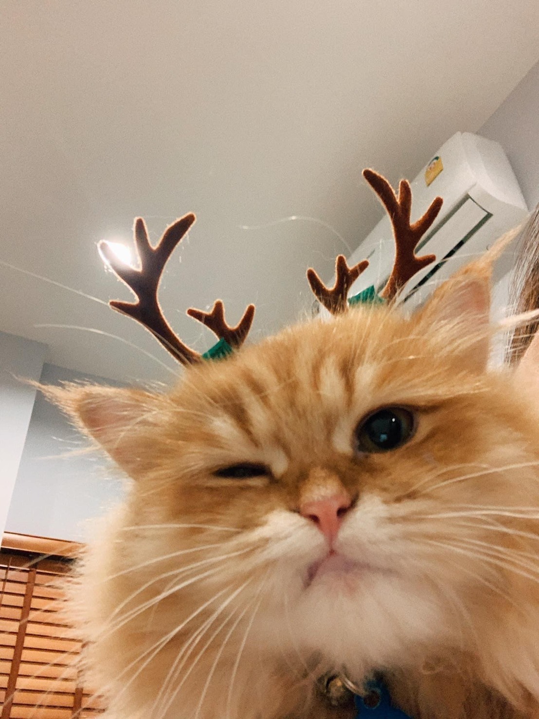 Tinder profile picture for @fill