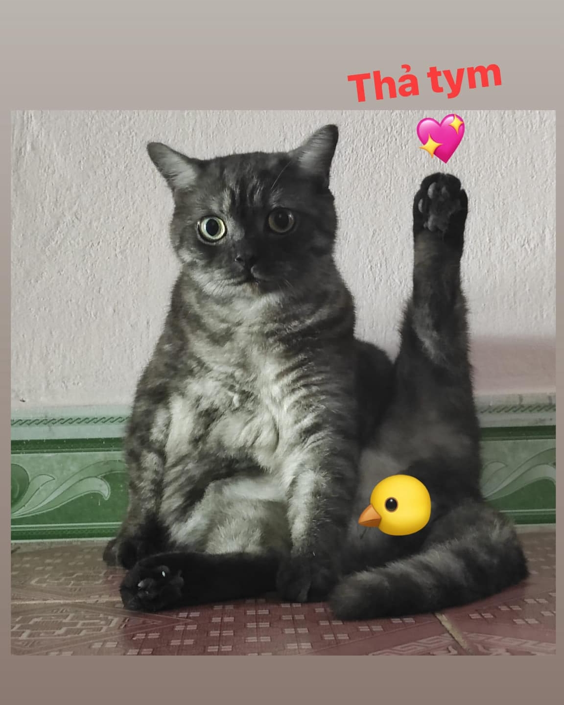 Tinder profile picture for @yoru