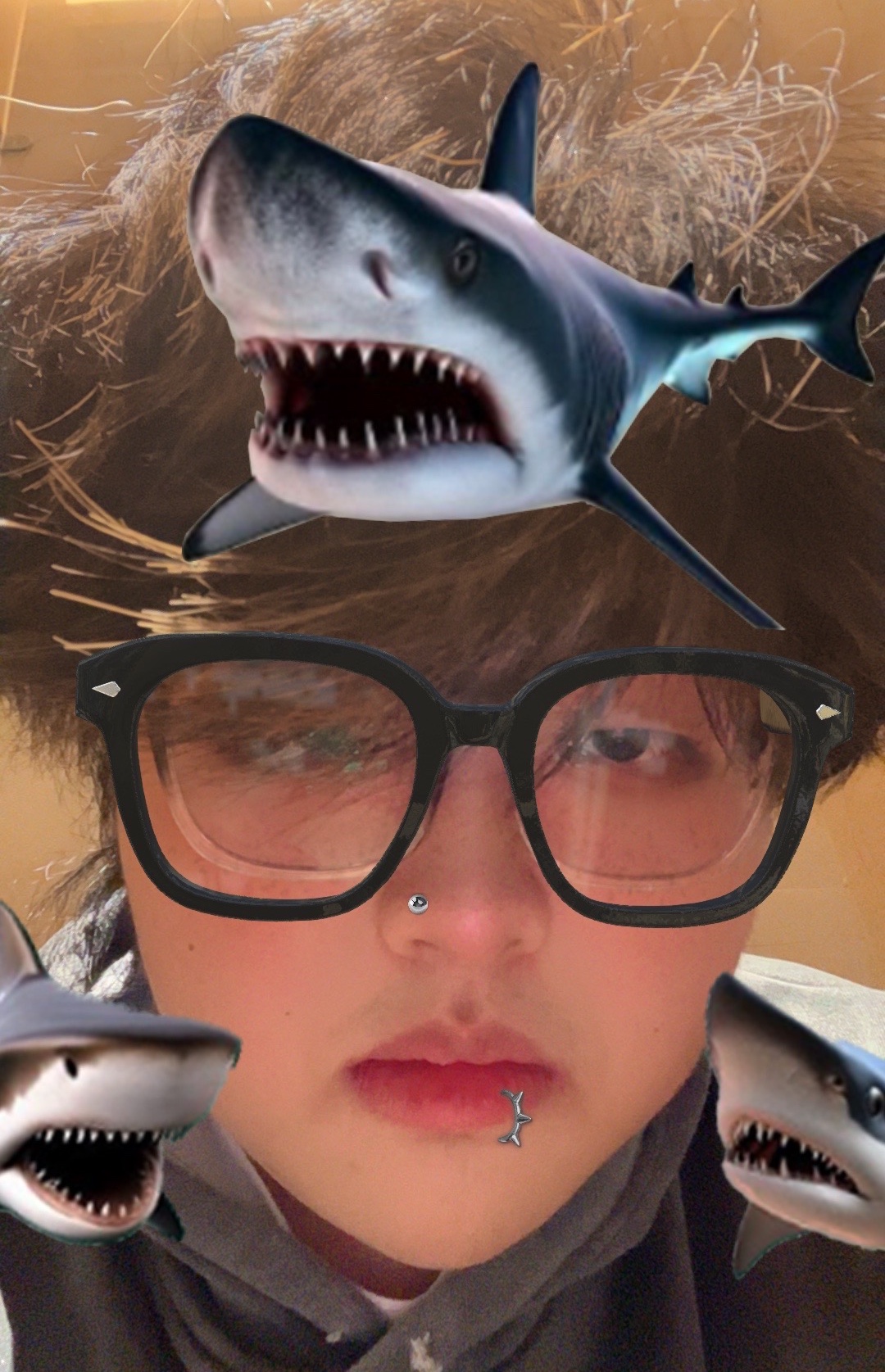 Tinder profile picture for @leisure