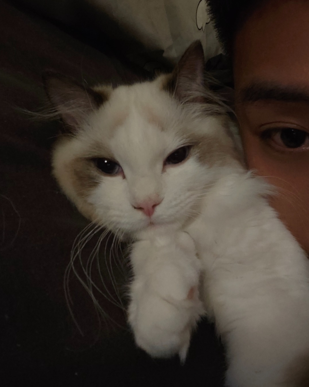 Tinder profile picture for @luka