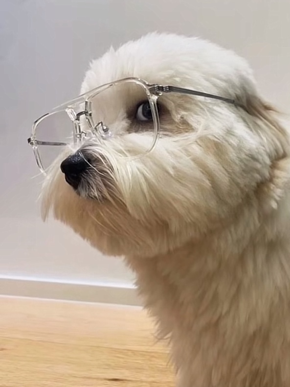 Tinder profile picture for @move
