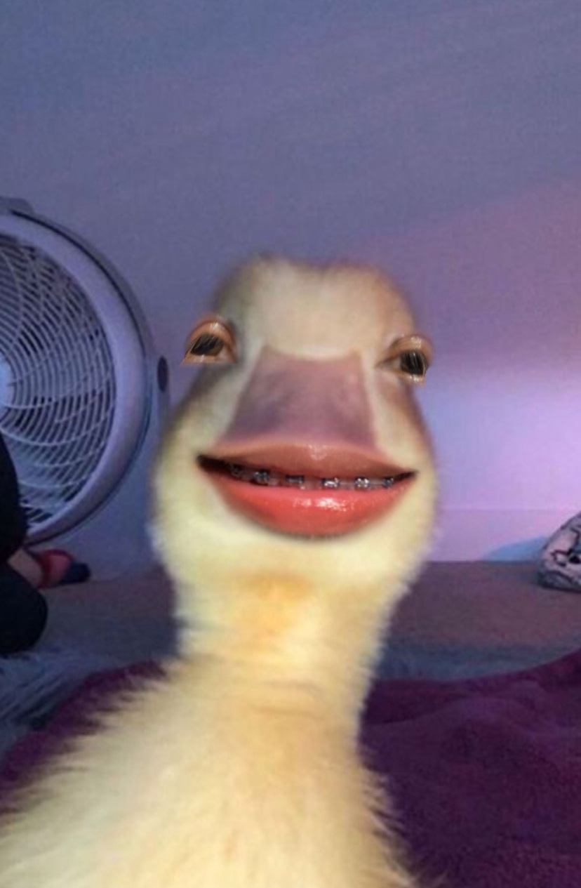 Tinder profile picture for @tw
