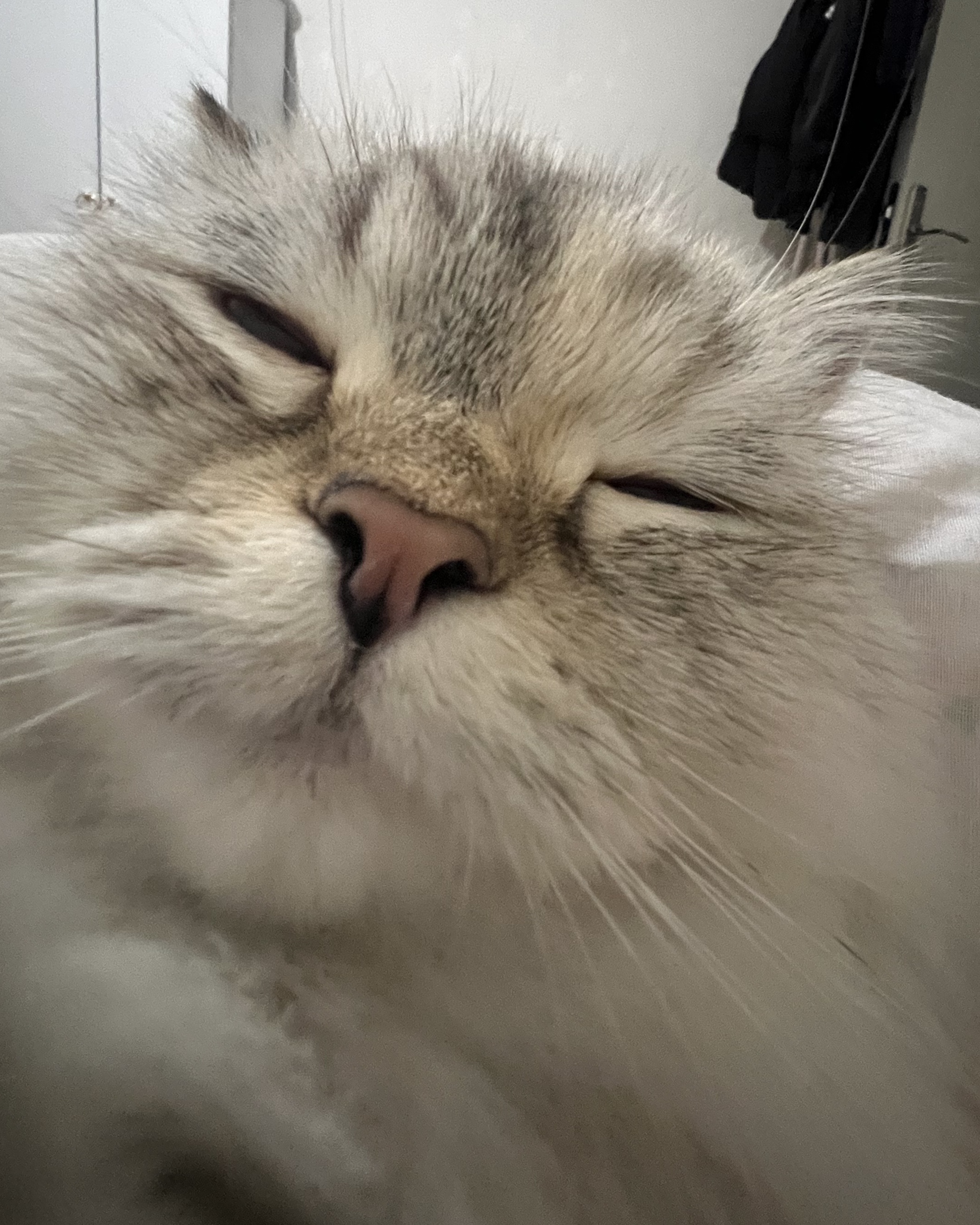 Tinder profile picture for @bilge
