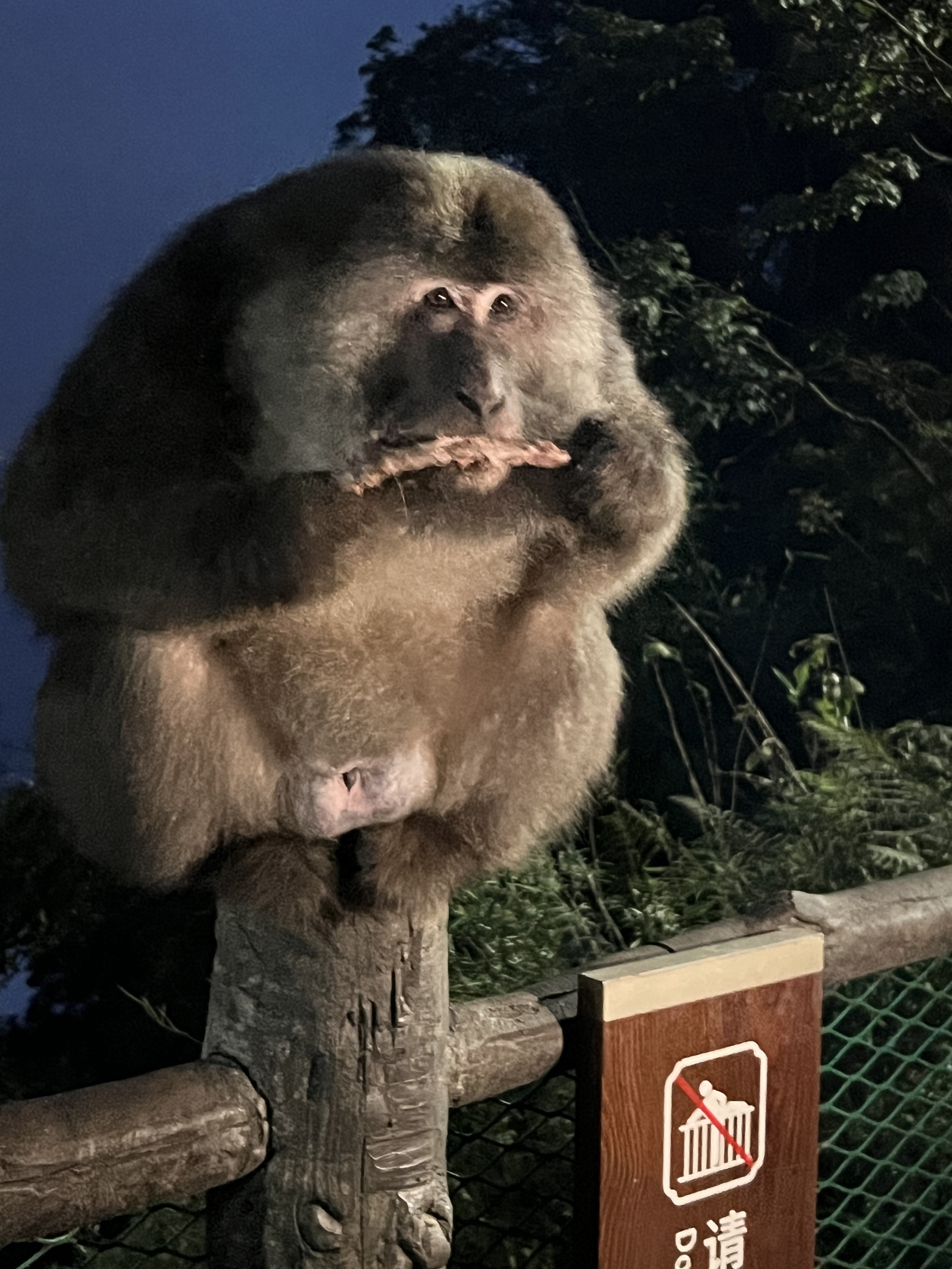 Tinder profile picture for @wait