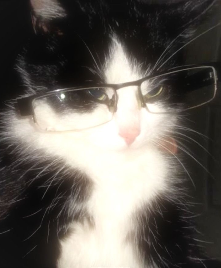 Tinder profile picture for @amor