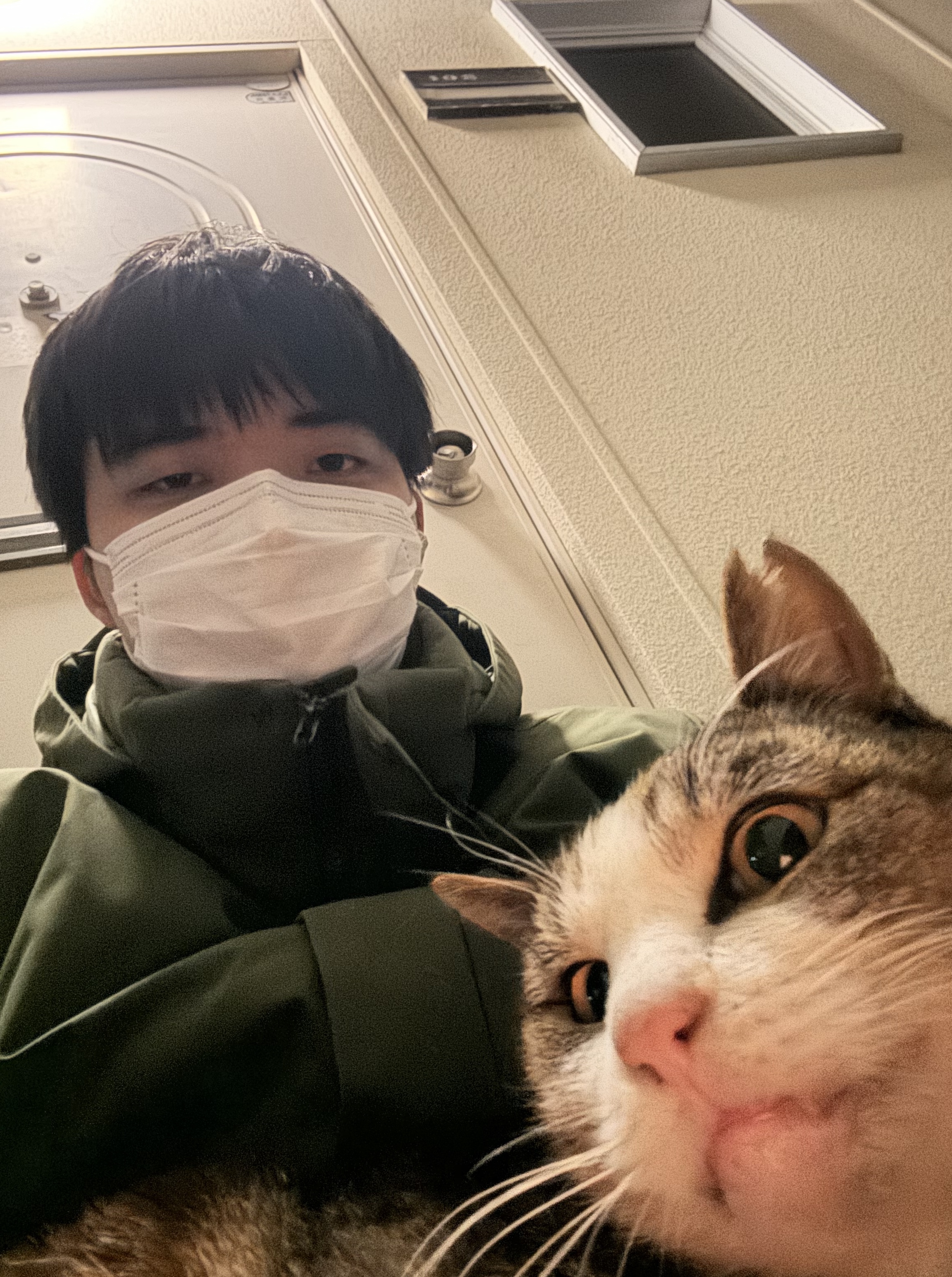 Tinder profile picture for @shun