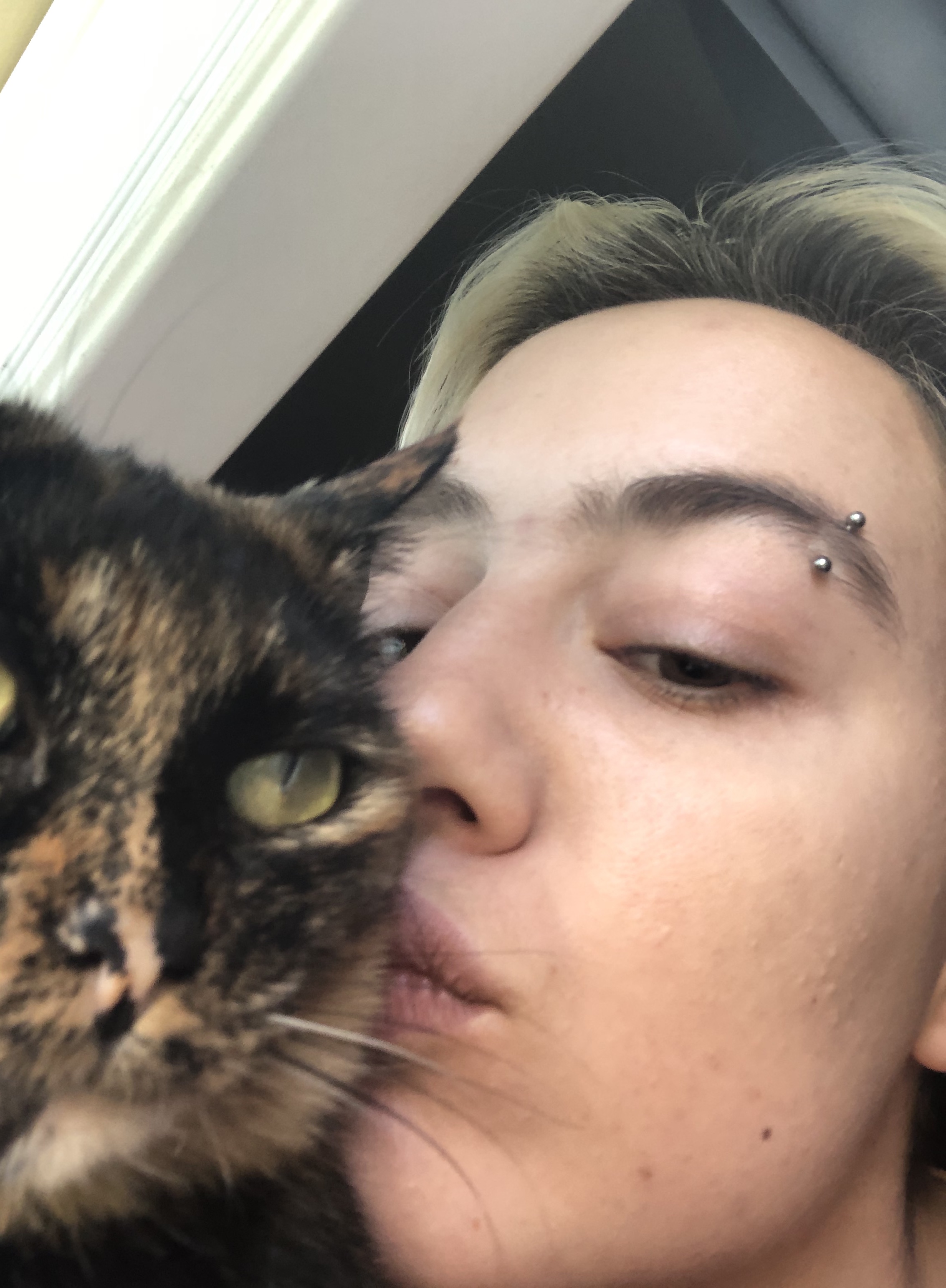 Tinder profile picture for @phoebe