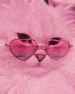 Tinder profile picture for @effeminate