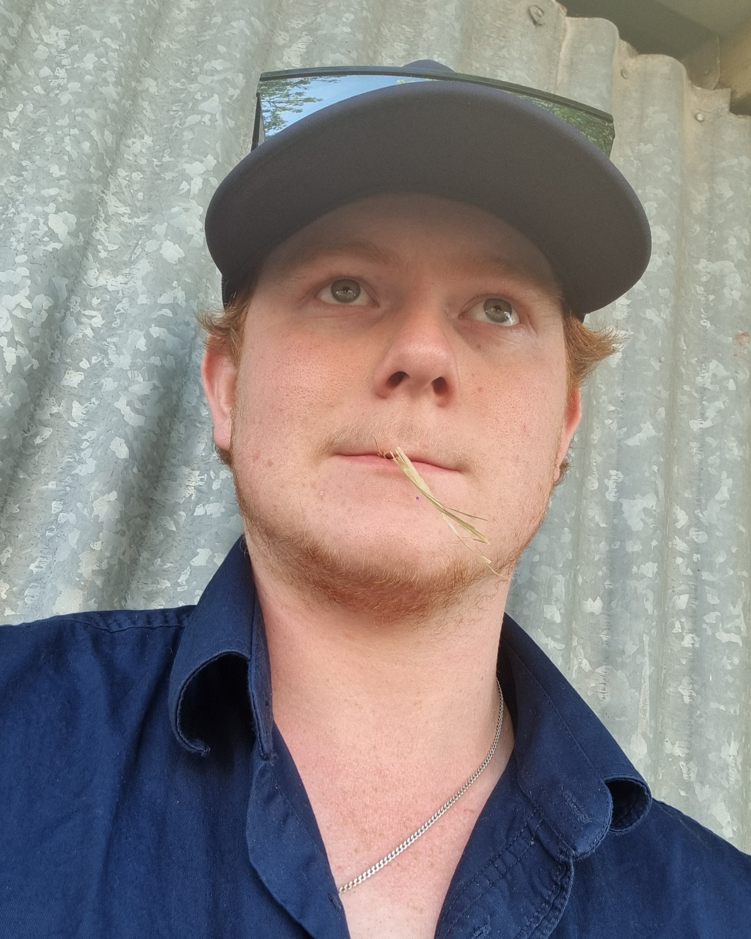 Tinder profile picture for @carrots