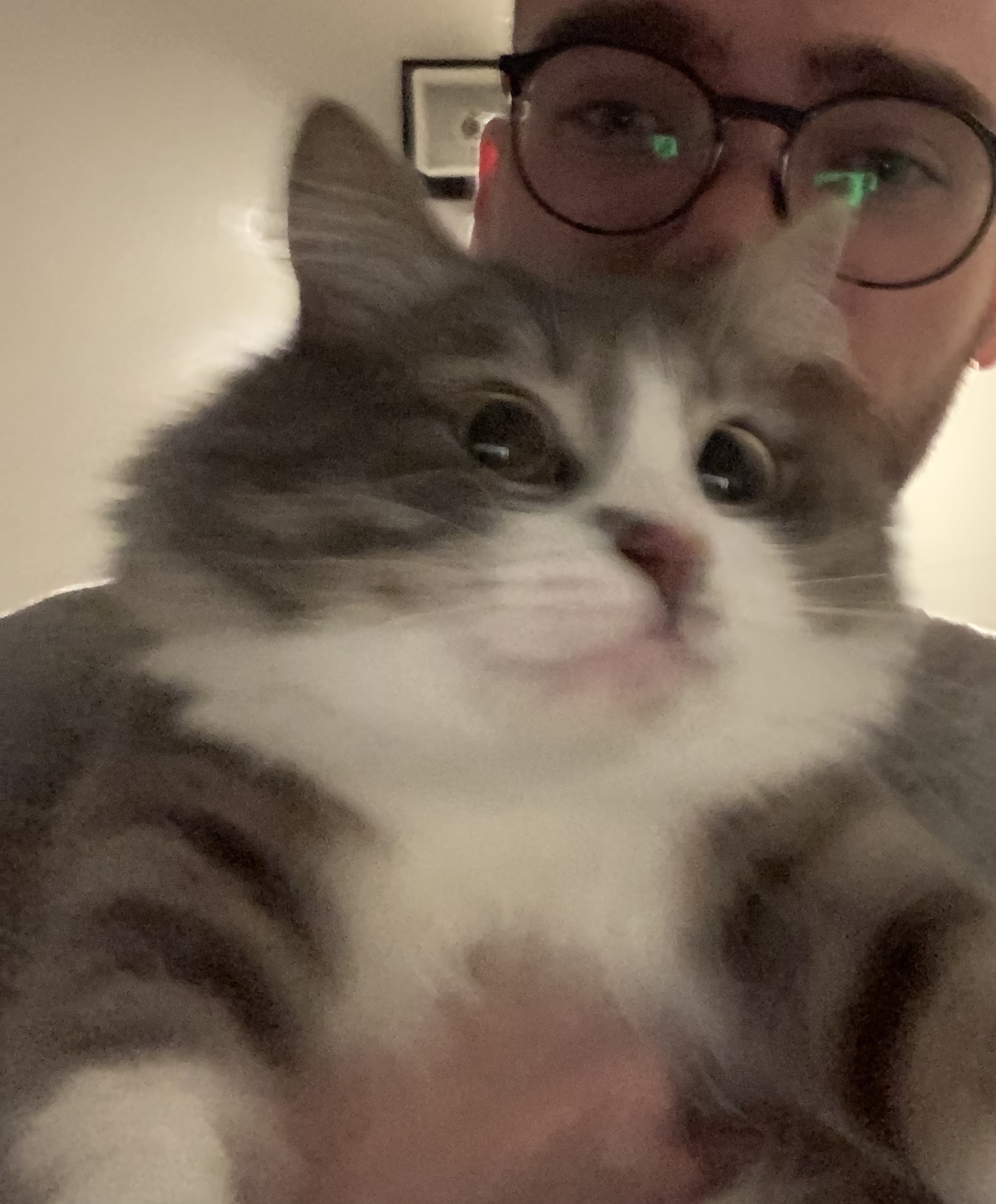 Tinder profile picture for @disgraced