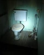 Tinder profile picture for @toilet