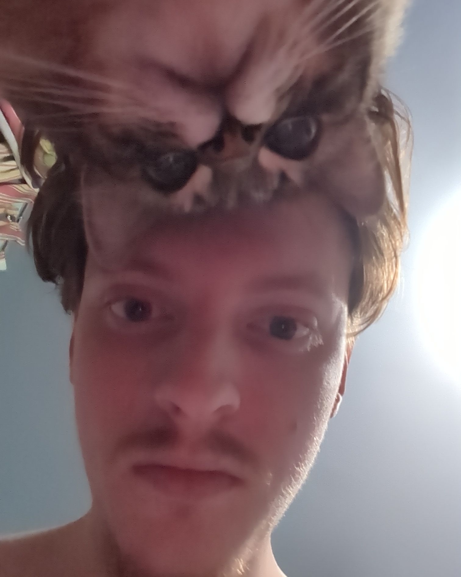 Tinder profile picture for @cats