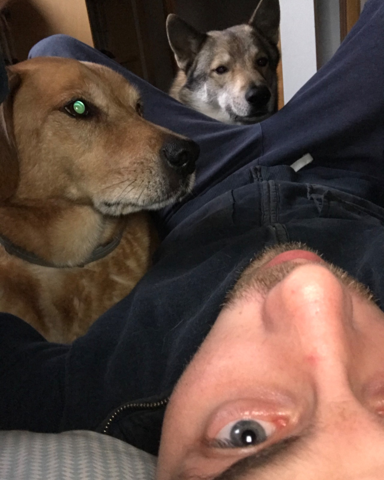 Tinder profile picture for @janez