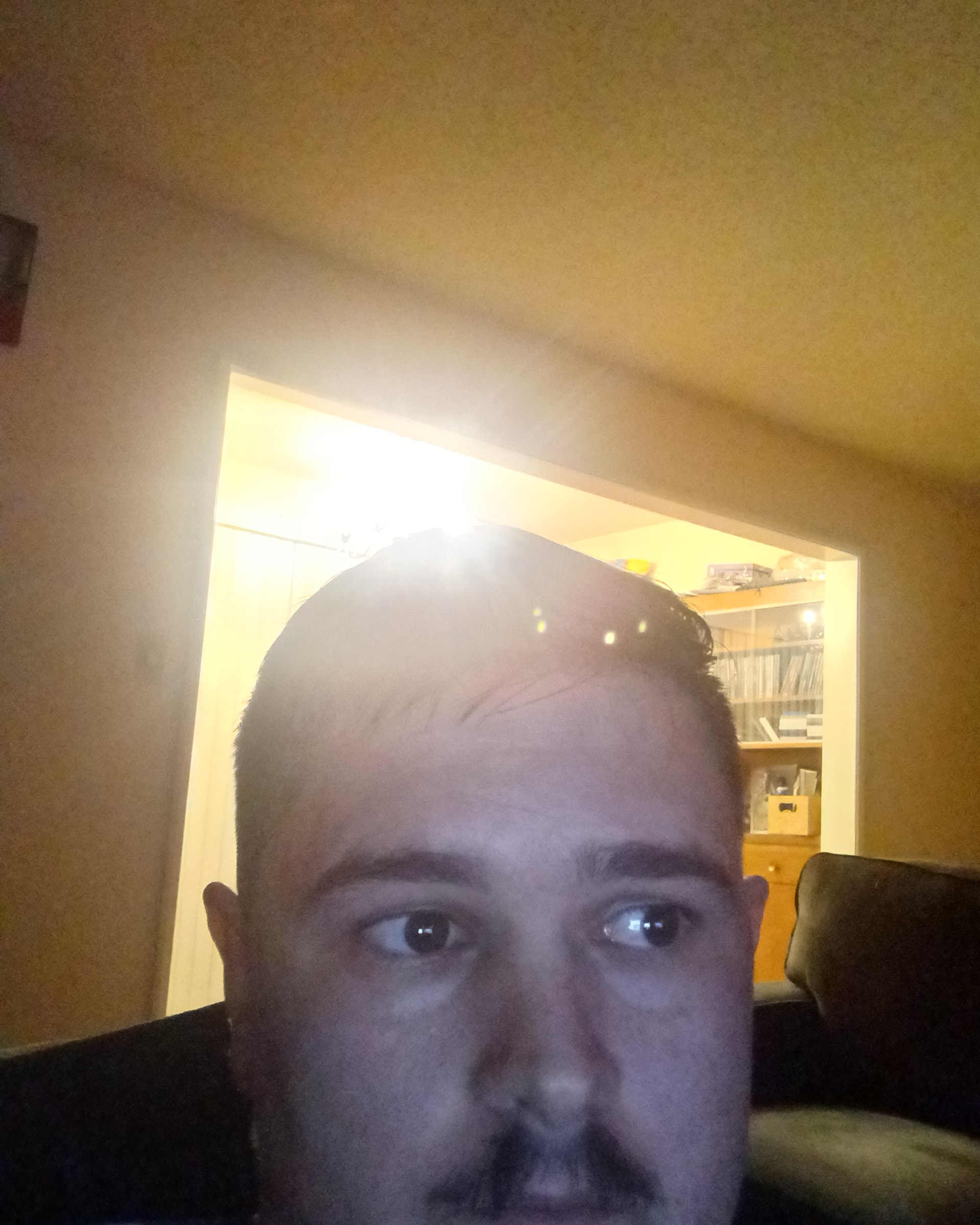Tinder profile picture for @bonkers