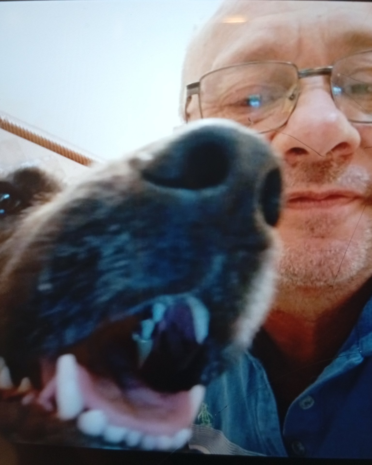 Tinder profile picture for @rub