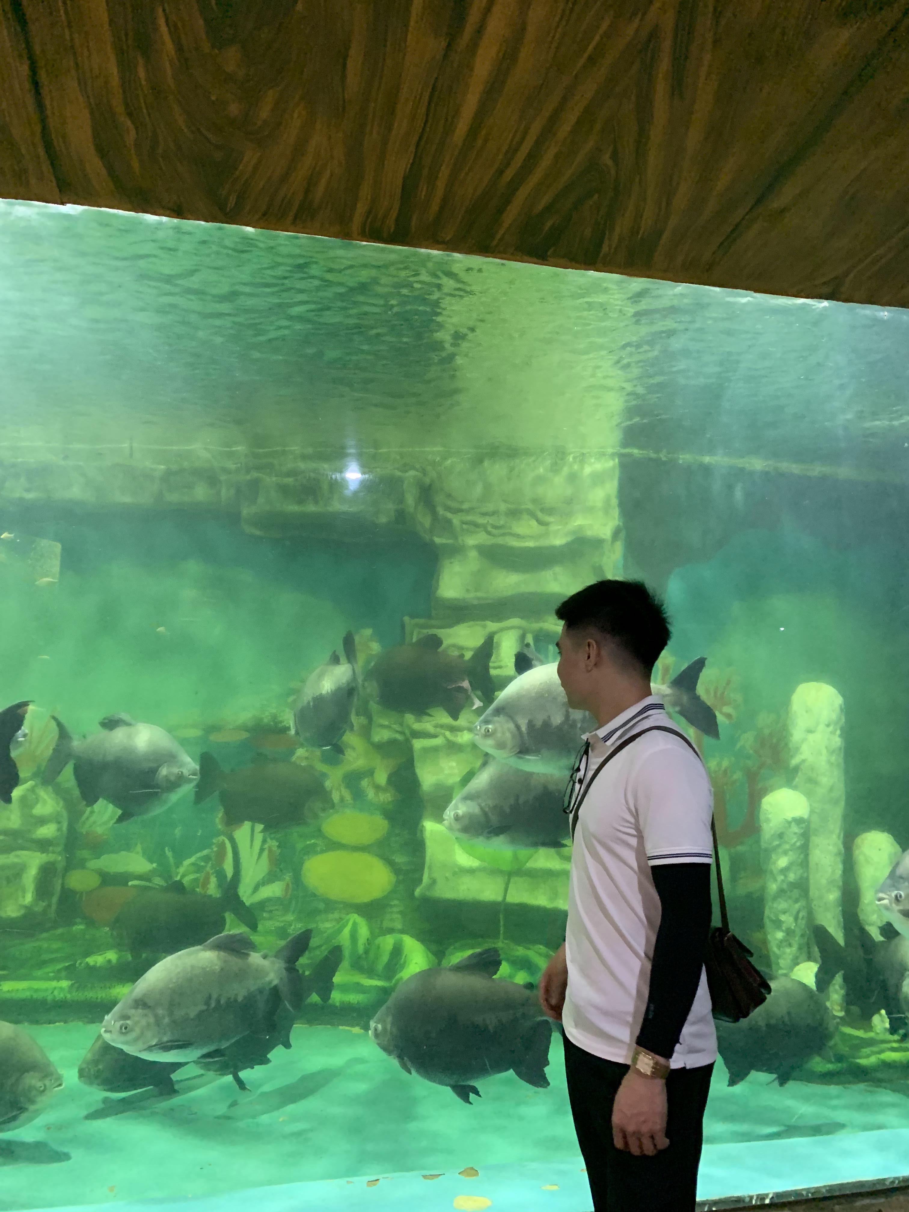 Tinder profile picture for @quang