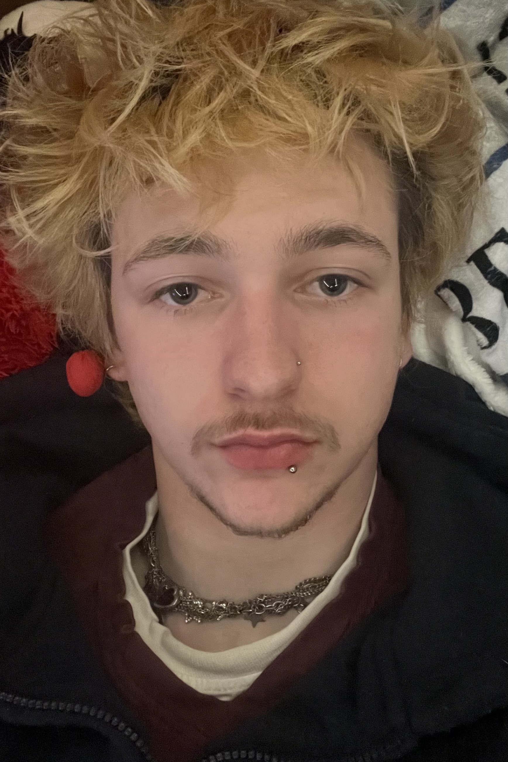 Tinder profile picture for @dish