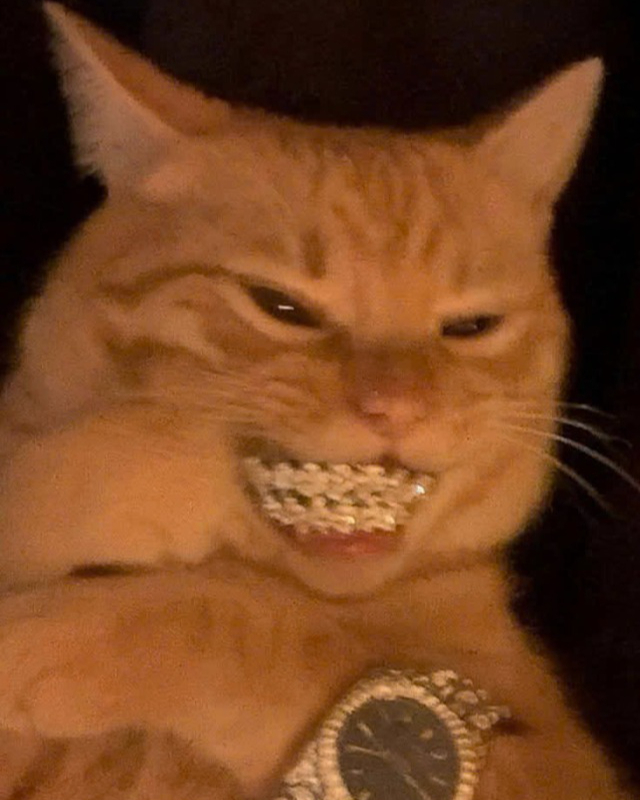 Tinder profile picture for @whisper